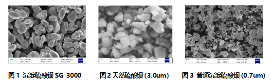 3681693535479145.png 圖片3.png